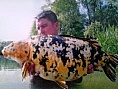 Matthew Grinham, 8th Jun<br />France, 28lb 04oz Koi